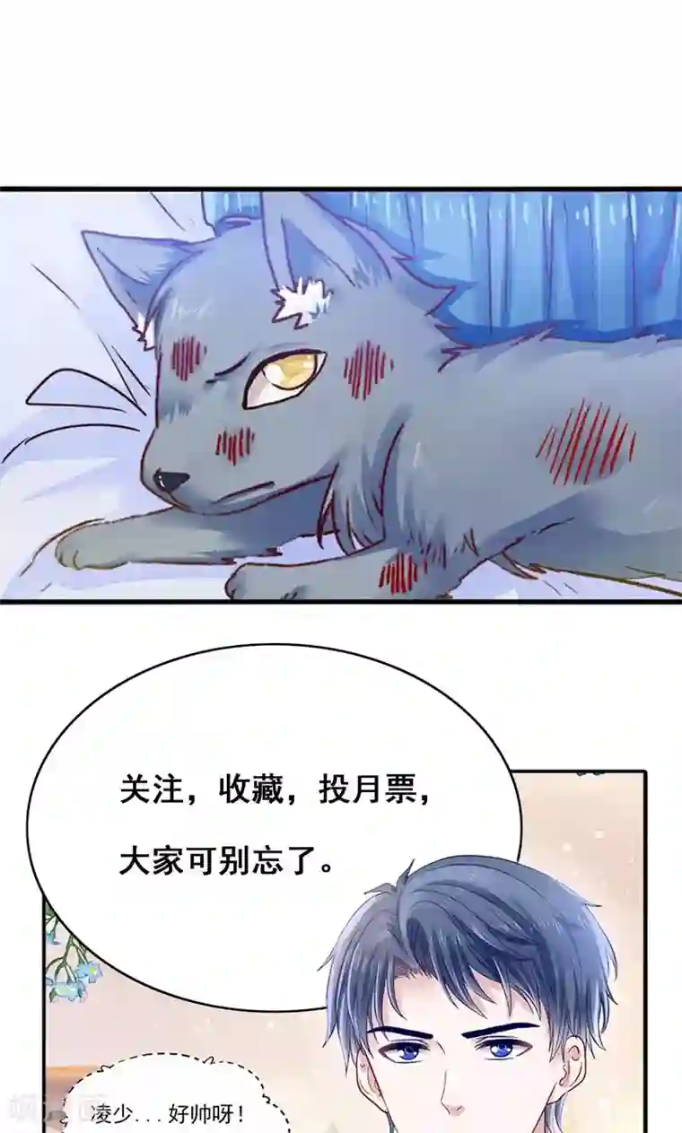 我被国宝盯上了第31话 小狼崽的前尘往事