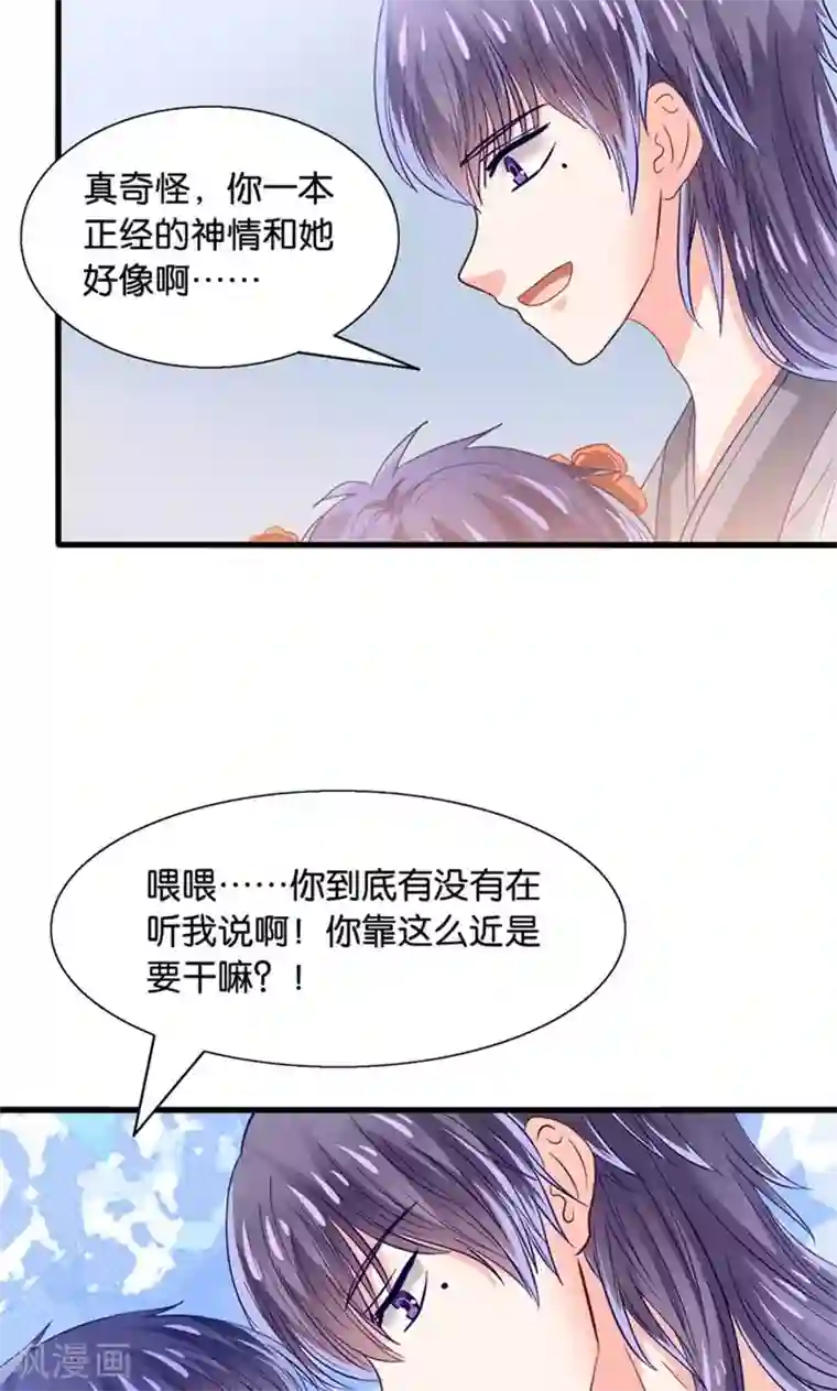 我被国宝盯上了第31话 小狼崽的前尘往事