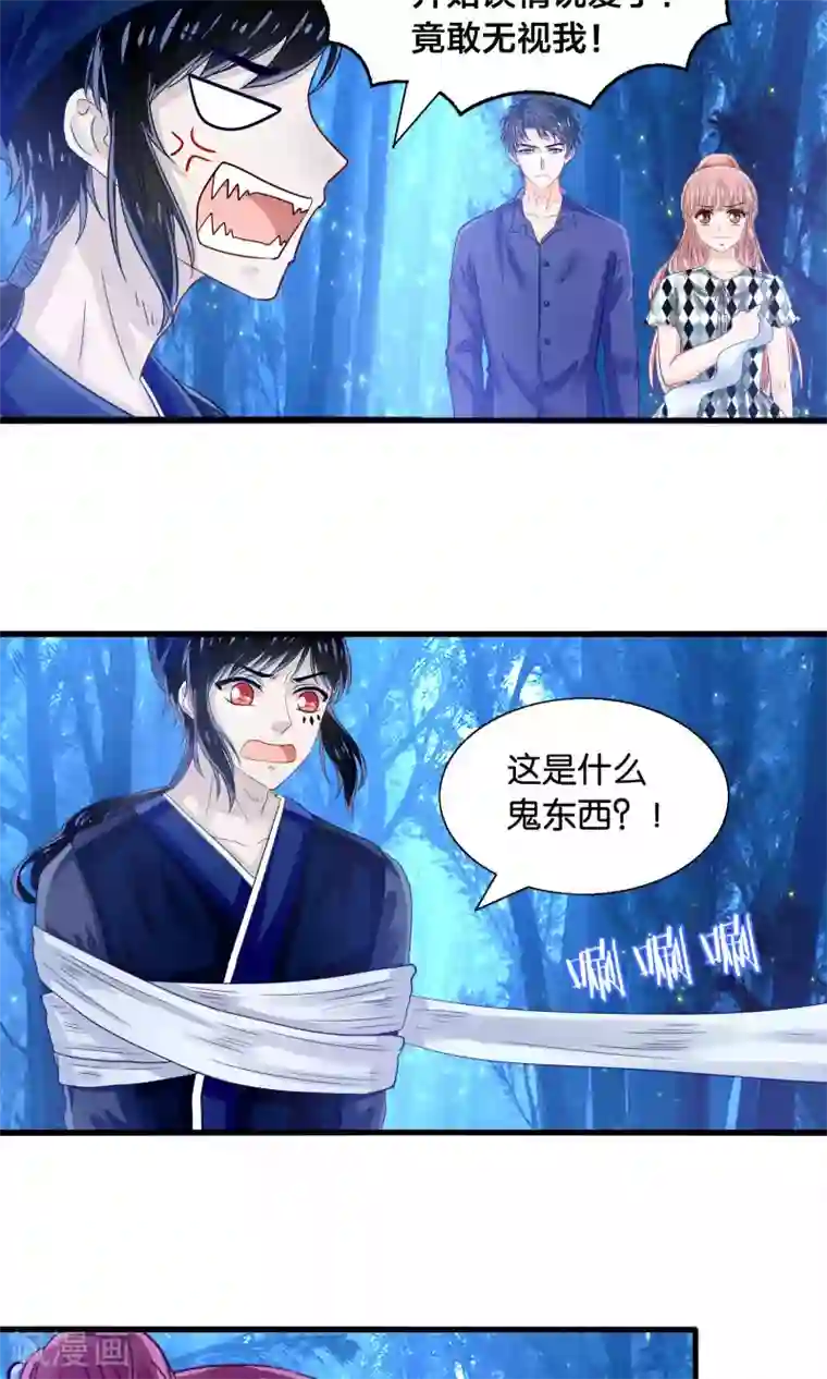 我被国宝盯上了第42话 竟然是小浣熊