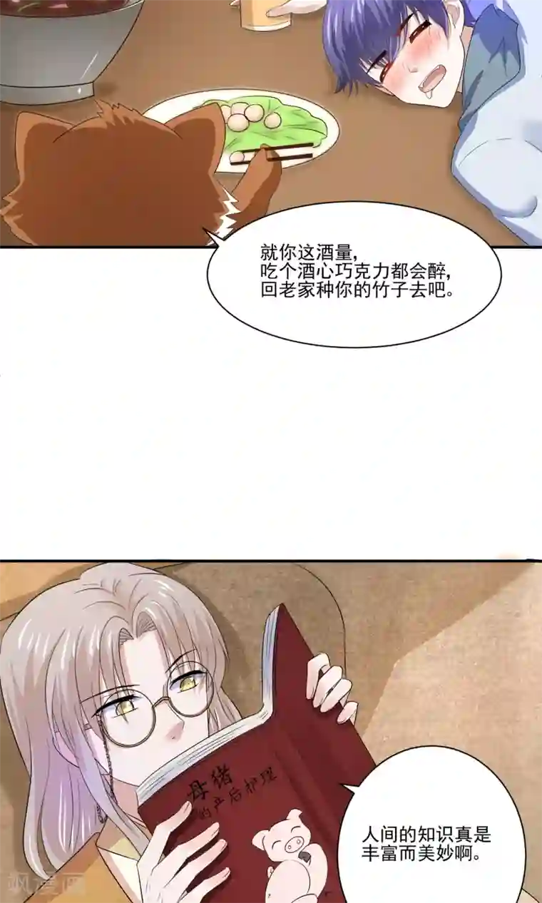 我被国宝盯上了第58话 我是男神你是备胎，我们不一样