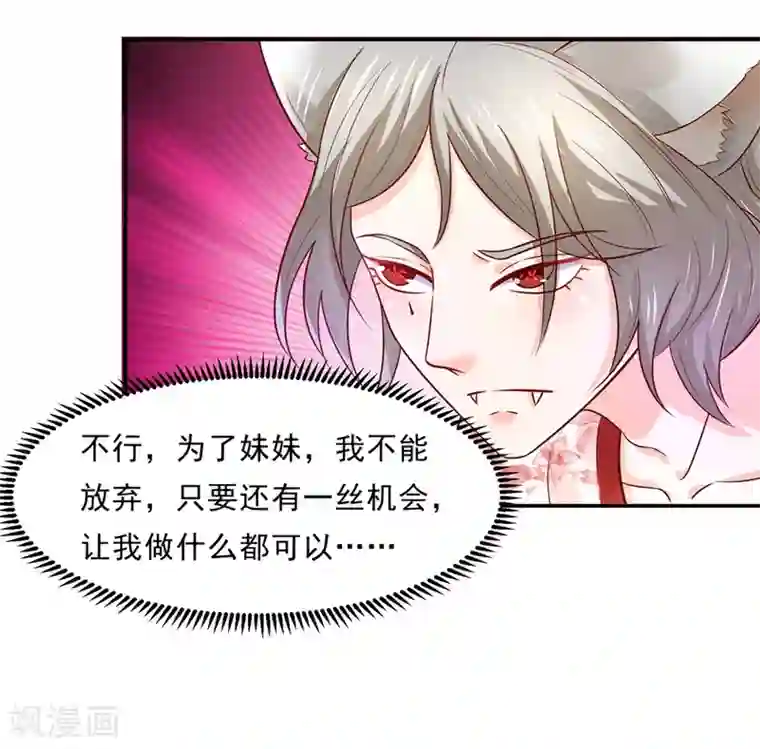 我被国宝盯上了第81话 想要运输符？先过美男关～