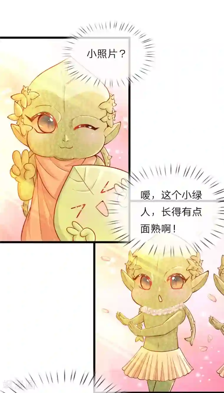 皇帝陛下的天价宝贝第24话 小木床小照片小绿人鸭