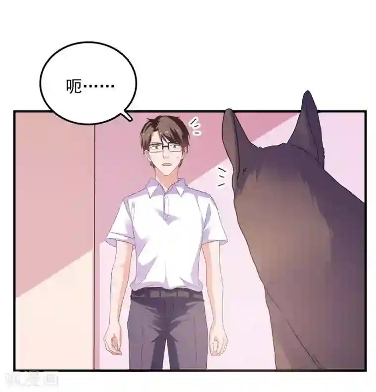 爱神APP第34话 追踪模式启动