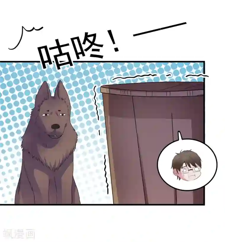 爱神APP第34话 追踪模式启动