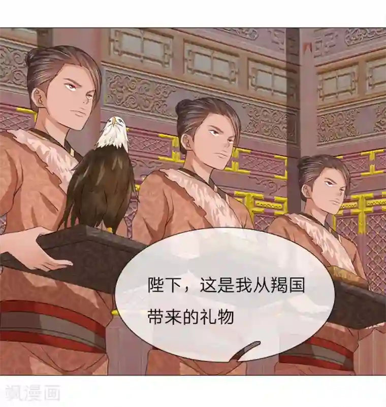 乱世帝后第78话 雄鹰展翅