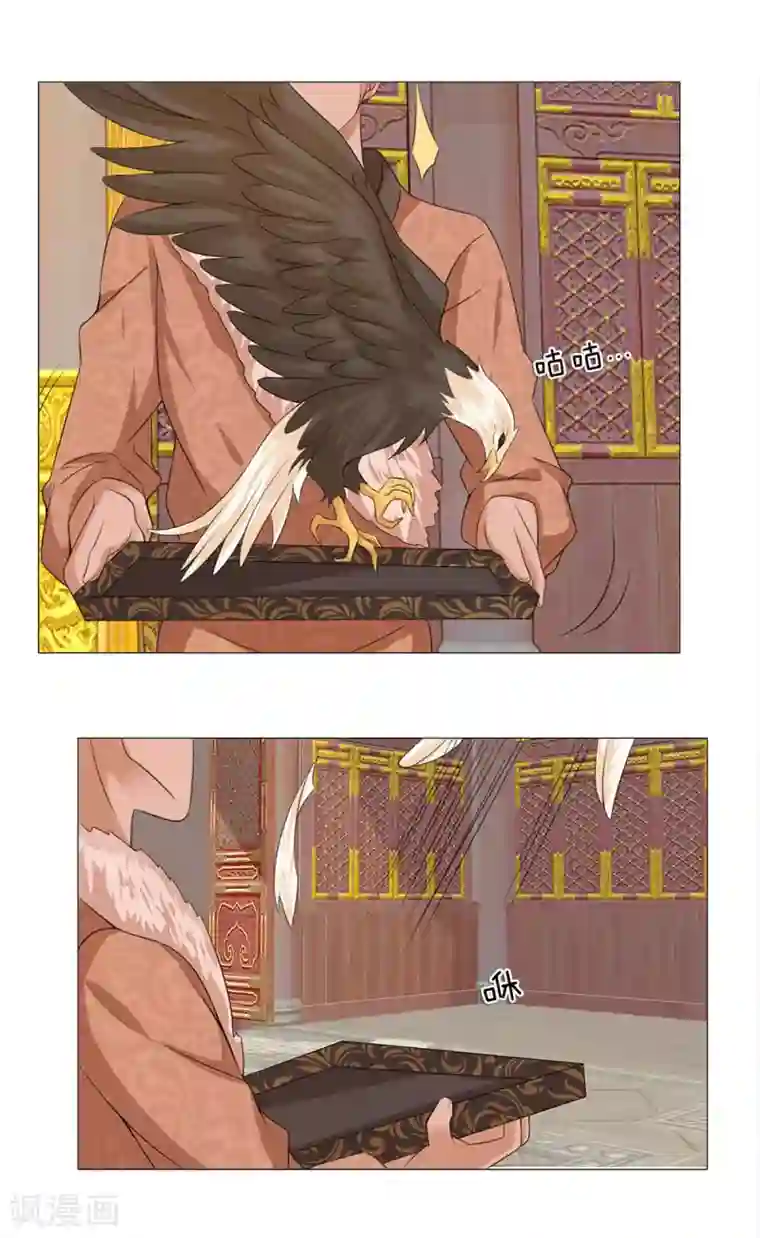 乱世帝后第78话 雄鹰展翅