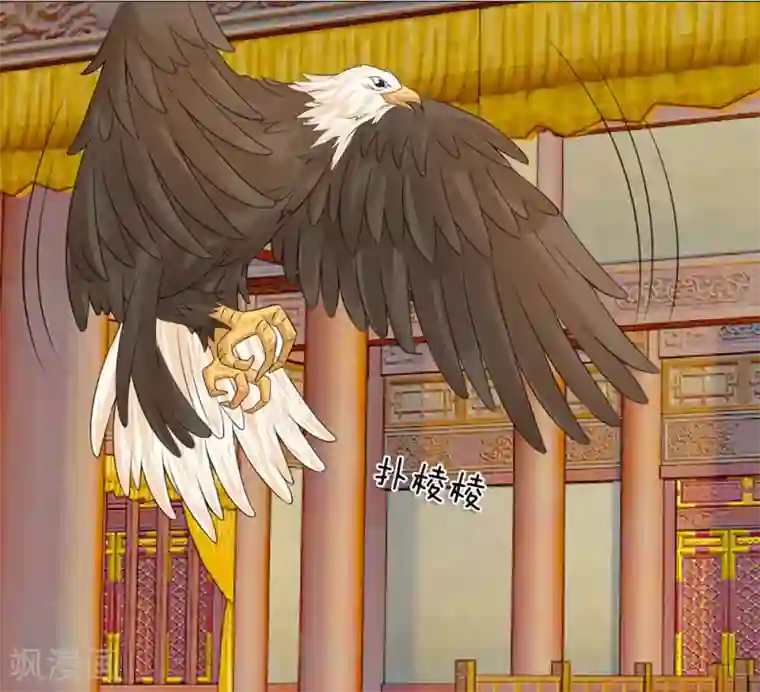 乱世帝后第78话 雄鹰展翅