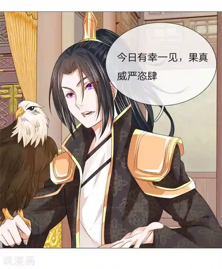 乱世帝后第78话 雄鹰展翅