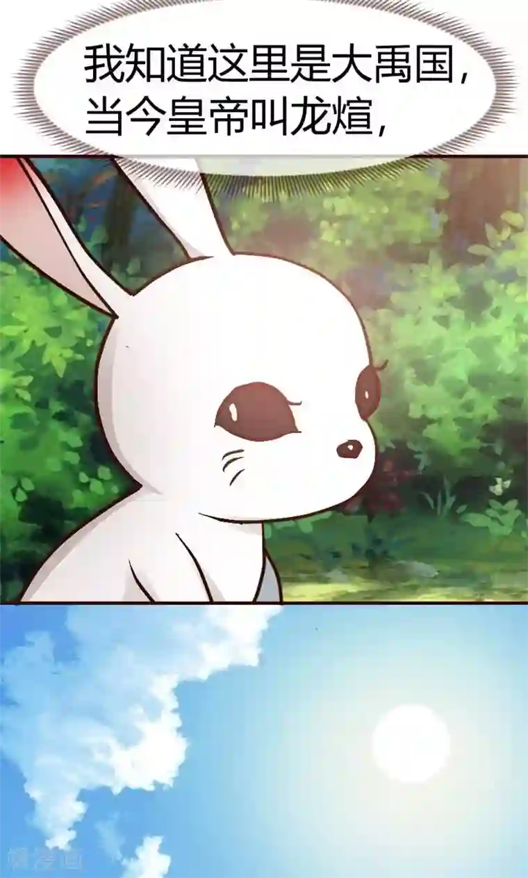 兔妖小王妃第1话 初见