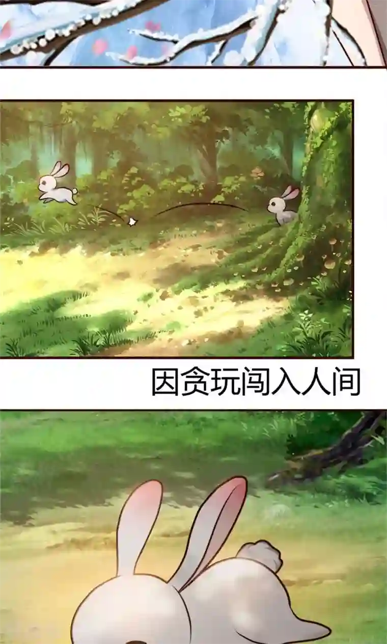 兔妖小王妃第1话 初见