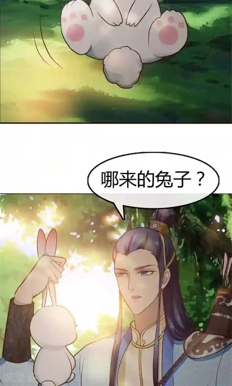 兔妖小王妃第1话 初见