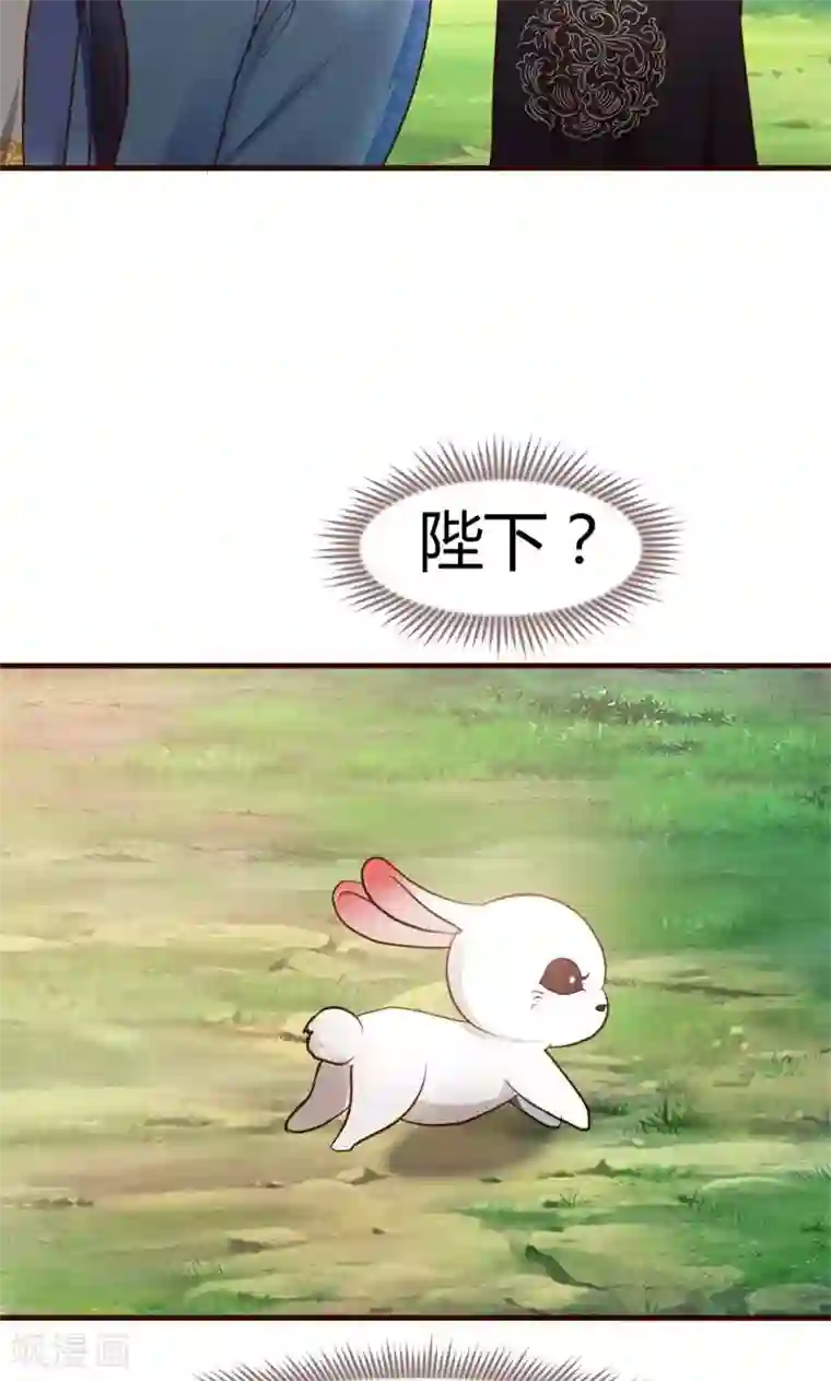 兔妖小王妃第1话 初见