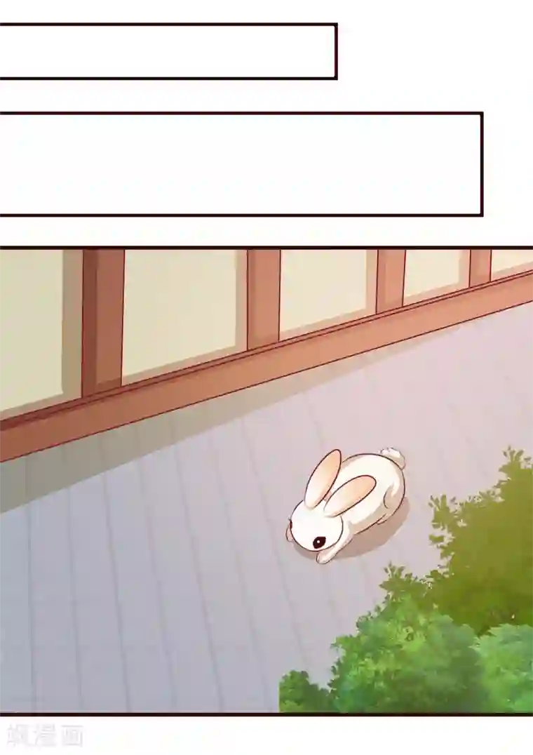 兔妖小王妃第18话 别怪我