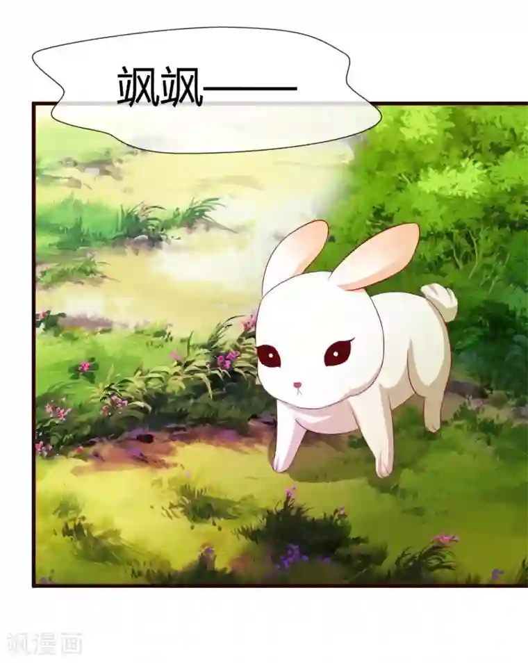 兔妖小王妃第18话 别怪我