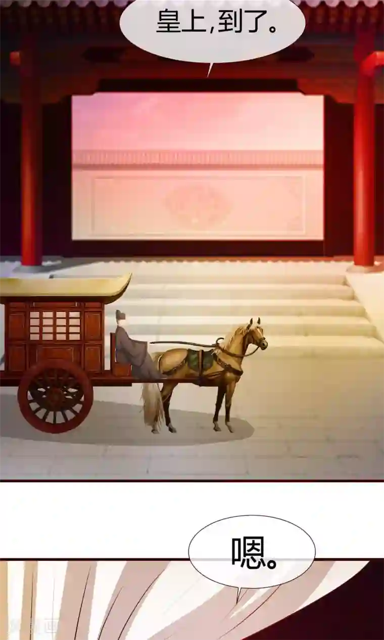 兔妖小王妃第25话 法师捉妖