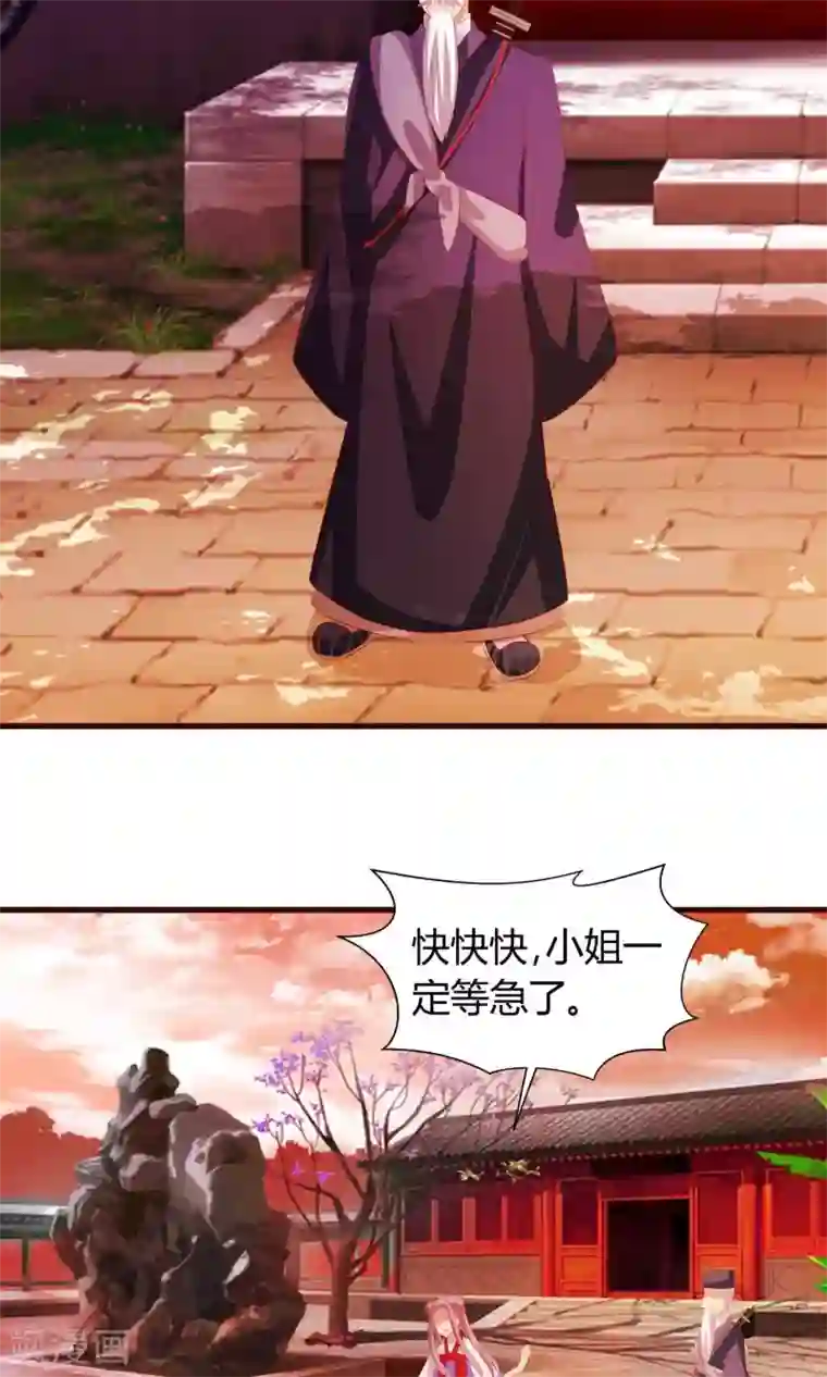 兔妖小王妃第25话 法师捉妖