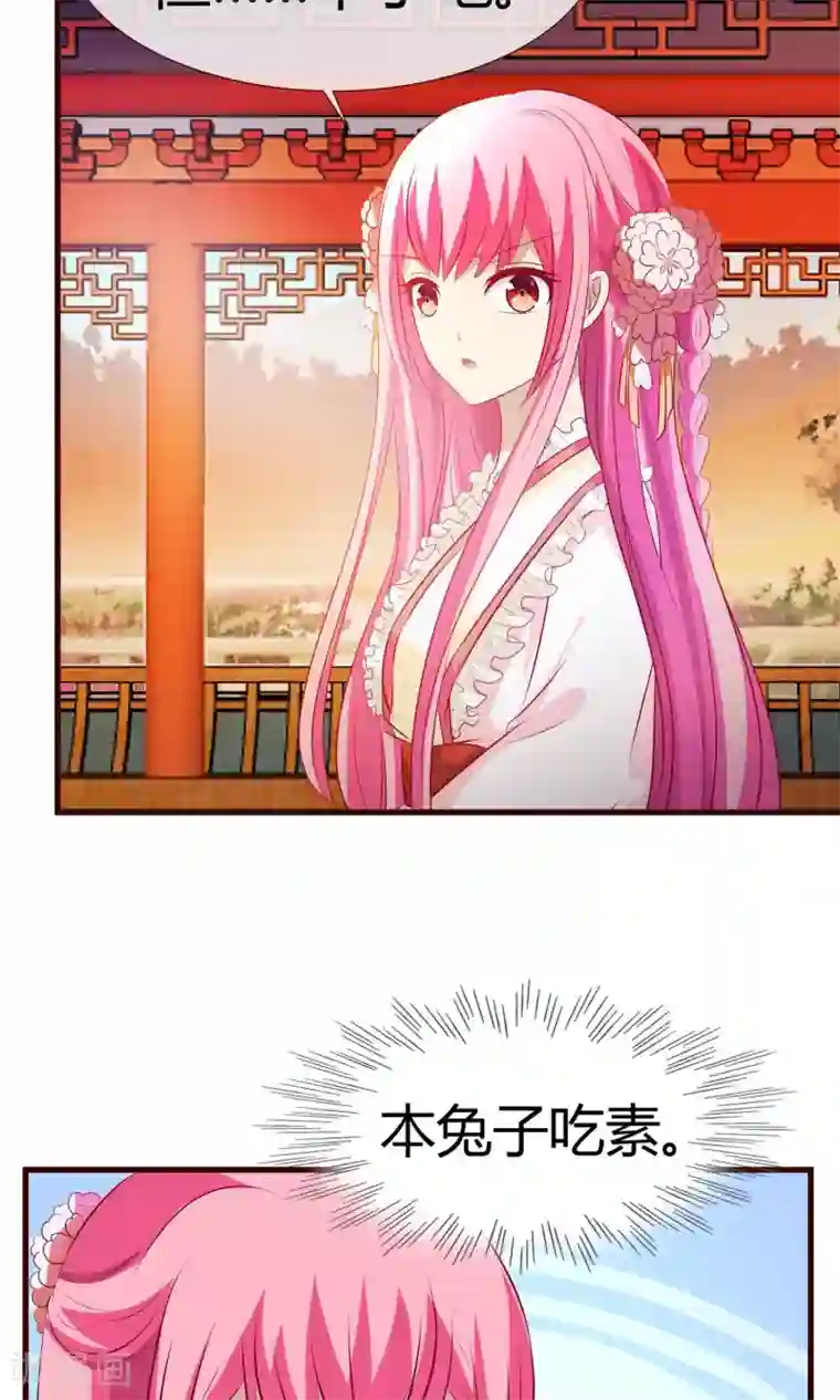 兔妖小王妃第25话 法师捉妖