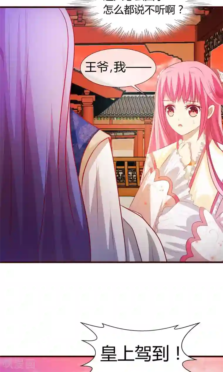 兔妖小王妃第25话 法师捉妖