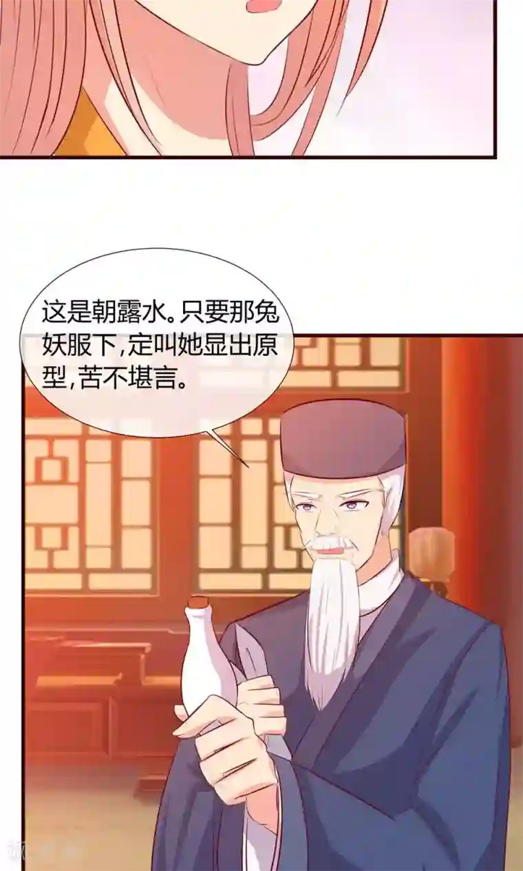 兔妖小王妃第26话 妖精的毒药