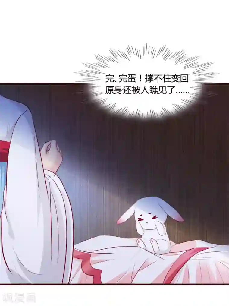 兔妖小王妃第31话 现出原形