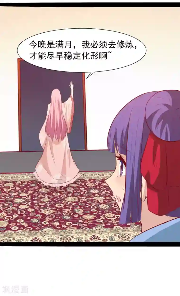 兔妖小王妃第35话 哪里来的小兔子