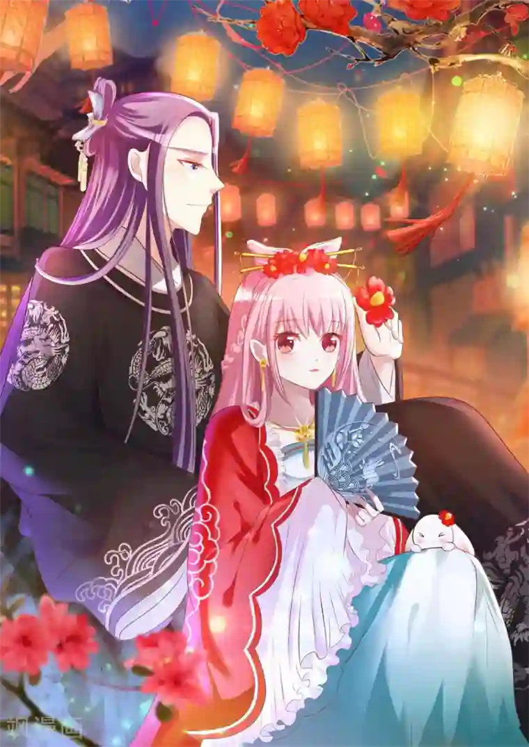 兔妖小王妃最终话 不能放弃