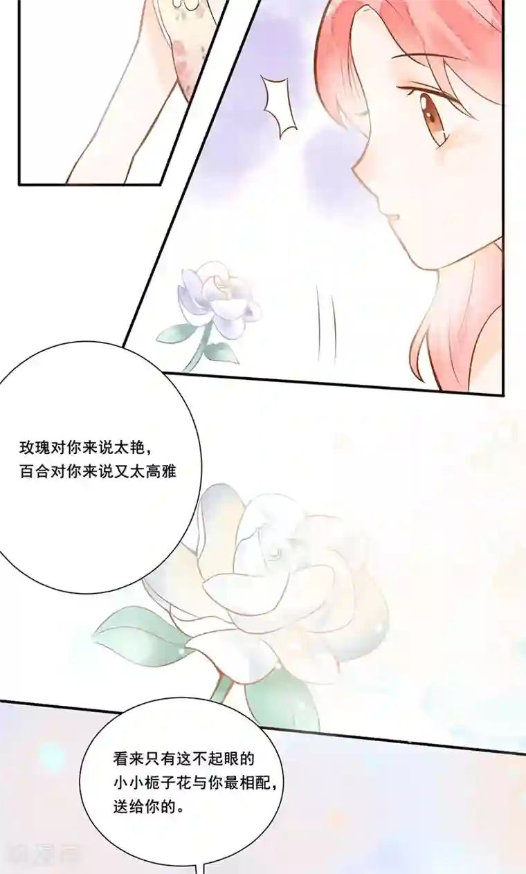 恶魔少爷在身边第5话 夜宴，帝少的独家灰姑娘