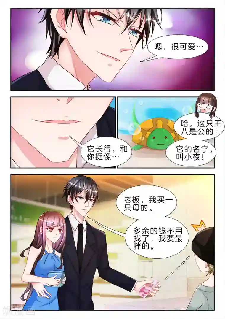 帝豪老公太狂热第51话 你的PP，还是完好的