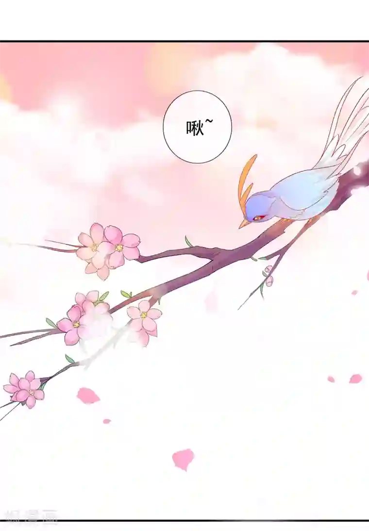 绝色小蛋妃第52话 宋青君的恋爱辅导课