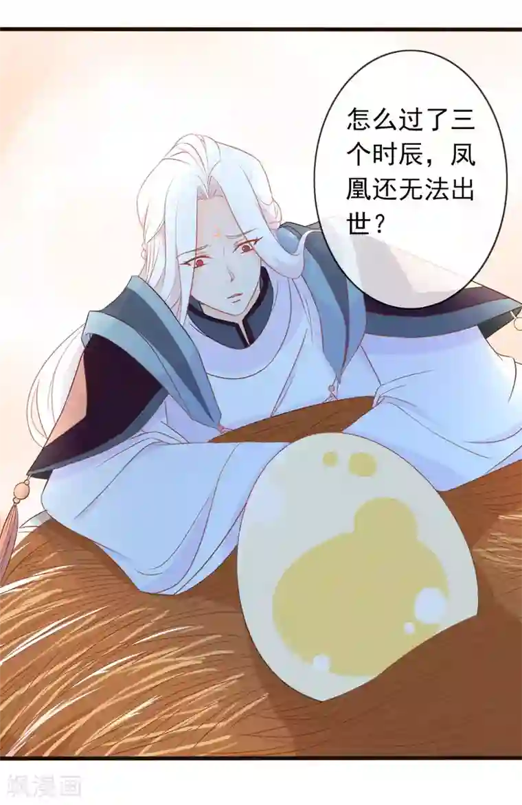 人在深圳消乐任海心第3话 凤凰神女出壳~