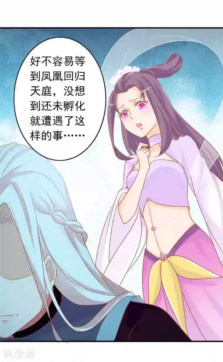 人在深圳消乐任海心第3话 凤凰神女出壳~