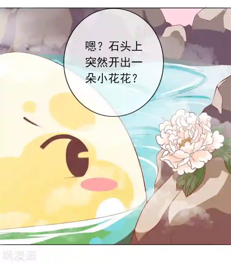 人在深圳消乐任海心第3话 凤凰神女出壳~