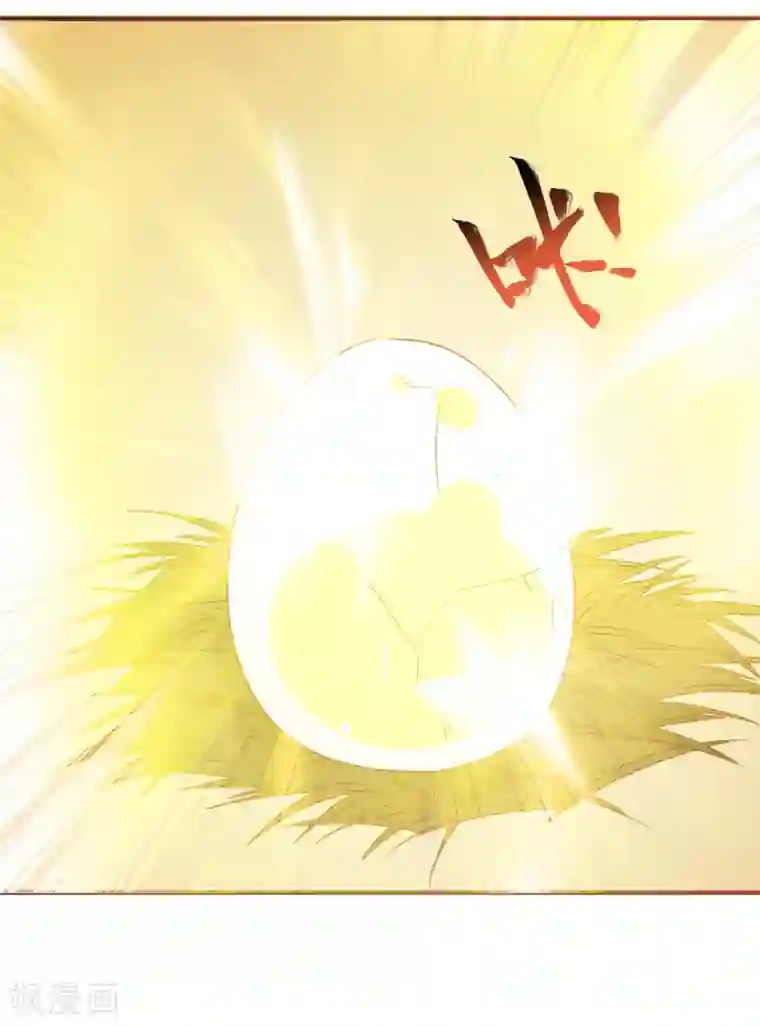 人在深圳消乐任海心第3话 凤凰神女出壳~