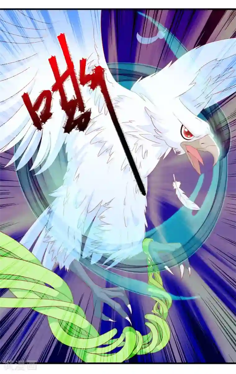 绝色小蛋妃第6话 本宝宝可是凤凰