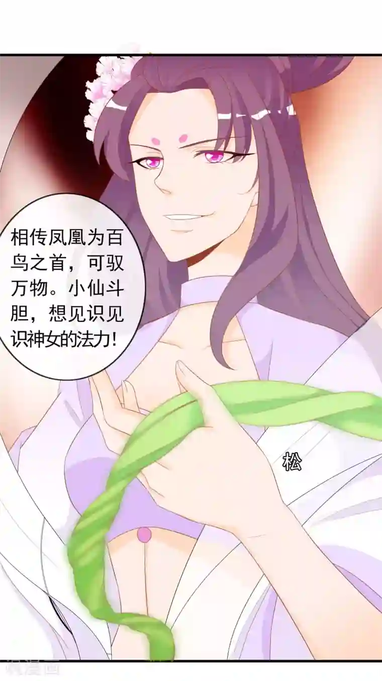 绝色小蛋妃第6话 本宝宝可是凤凰