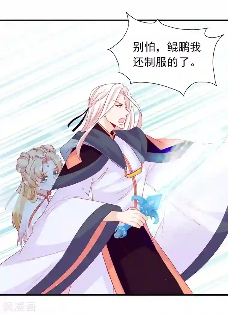 绝色小蛋妃第6话 本宝宝可是凤凰