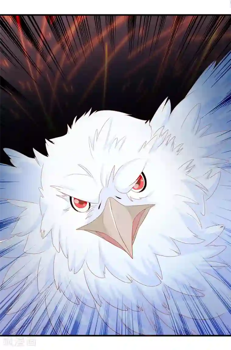 绝色小蛋妃第6话 本宝宝可是凤凰