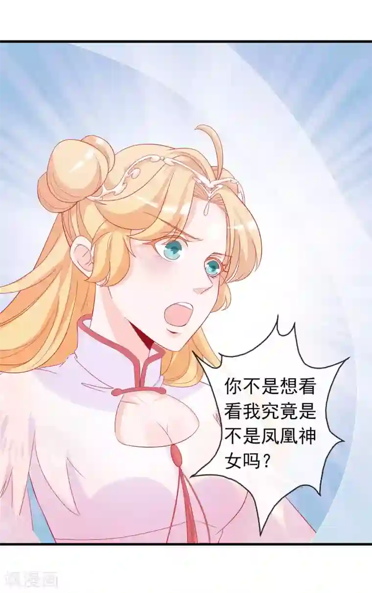 绝色小蛋妃第6话 本宝宝可是凤凰