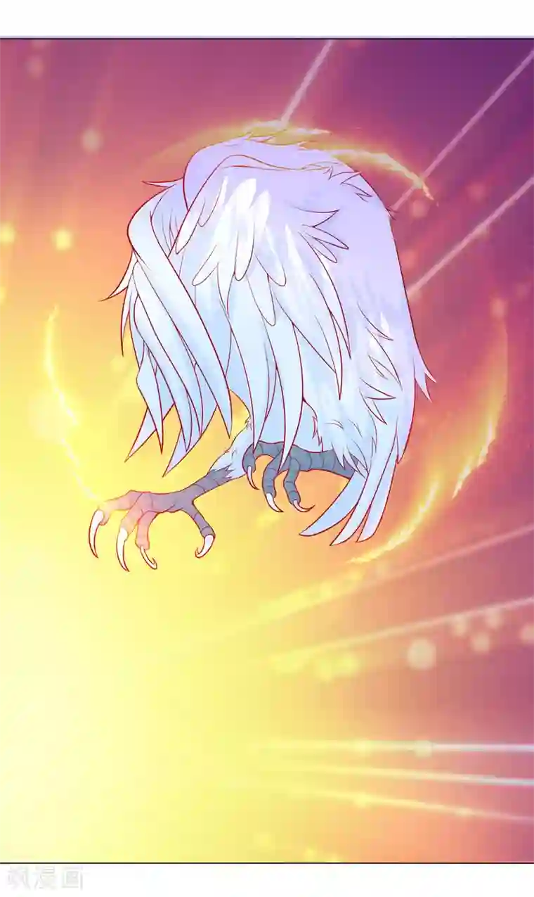 绝色小蛋妃第7话 驯服的鲲鹏求蹭蹭~