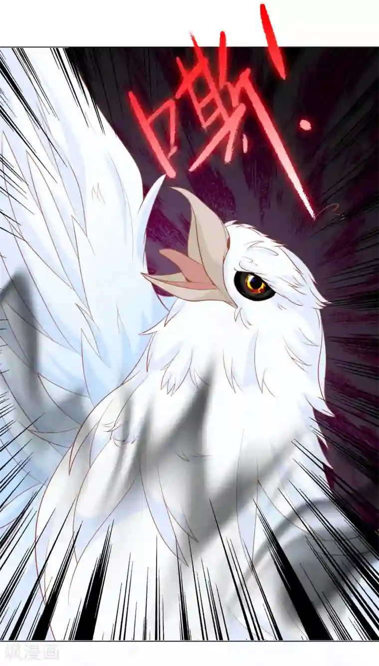 绝色小蛋妃第7话 驯服的鲲鹏求蹭蹭~