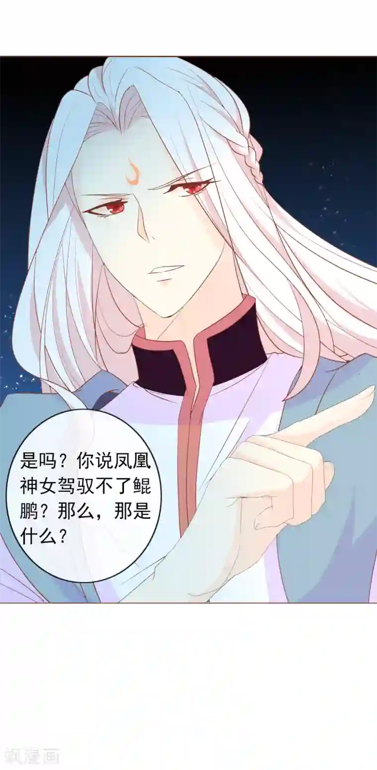 绝色小蛋妃第7话 驯服的鲲鹏求蹭蹭~