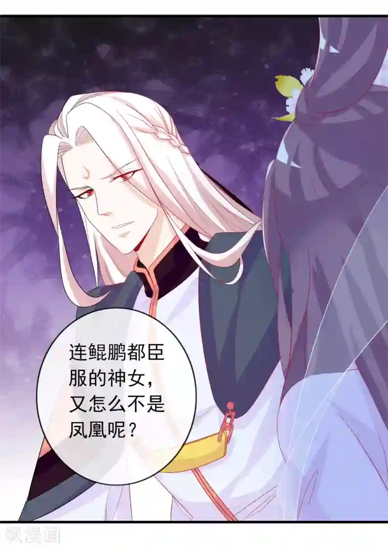 绝色小蛋妃第7话 驯服的鲲鹏求蹭蹭~