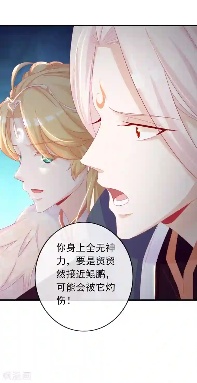 绝色小蛋妃第7话 驯服的鲲鹏求蹭蹭~