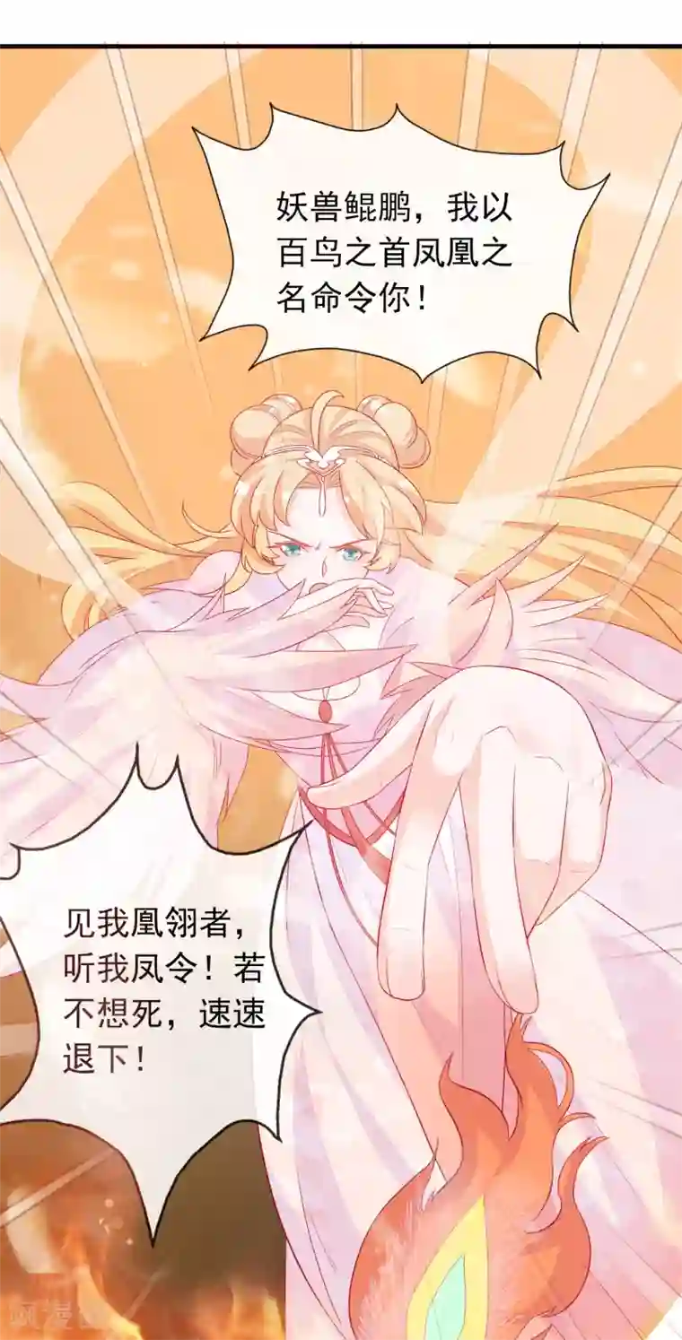 绝色小蛋妃第7话 驯服的鲲鹏求蹭蹭~