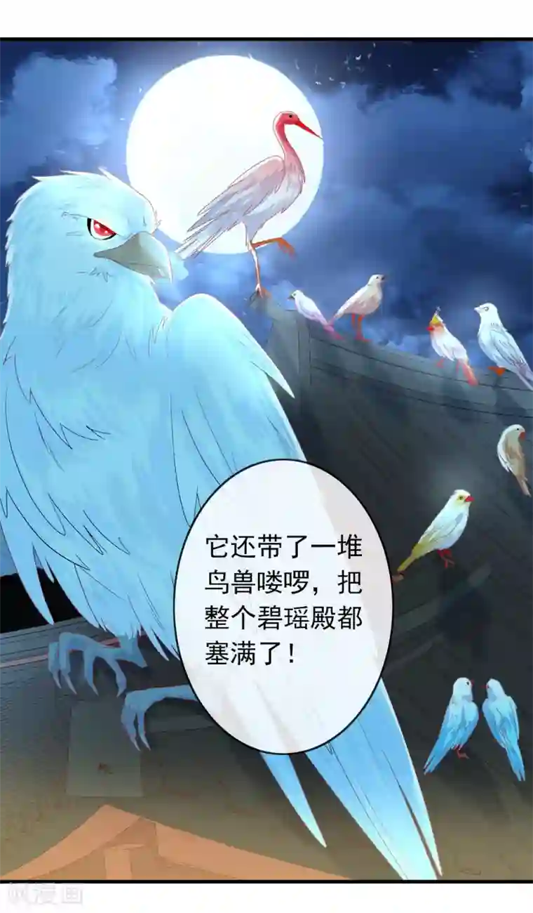 绝色小蛋妃第8话 天君的倾情疗伤