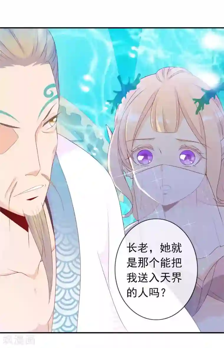 绝色小蛋妃第17话 人鱼国的私生女