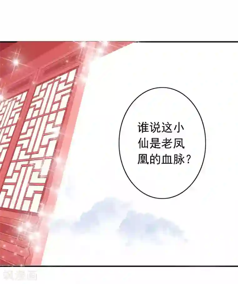 绝色小蛋妃第27话 我有一种蛋蛋的忧伤