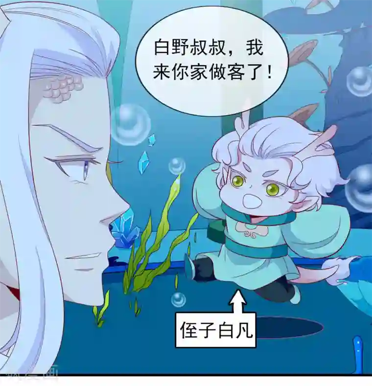 绝色小蛋妃第32话 爱她就养肥她~