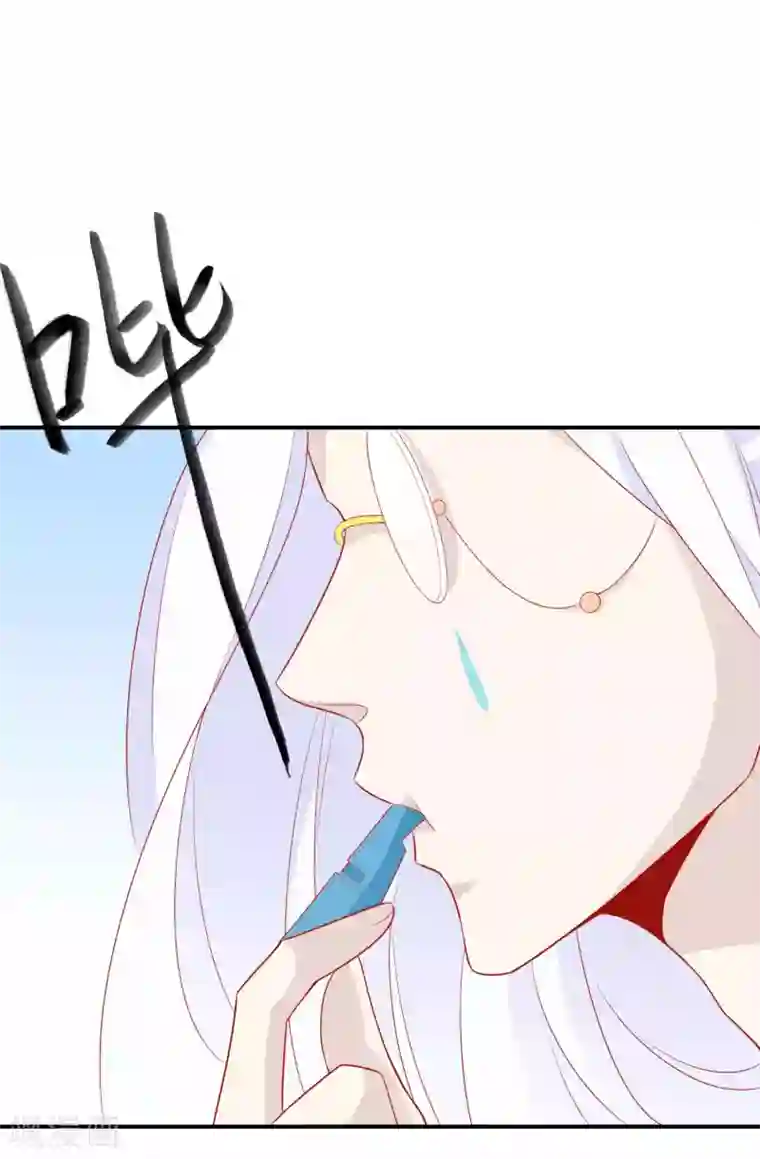 绝色小蛋妃第42话 凤凰首次打擂台