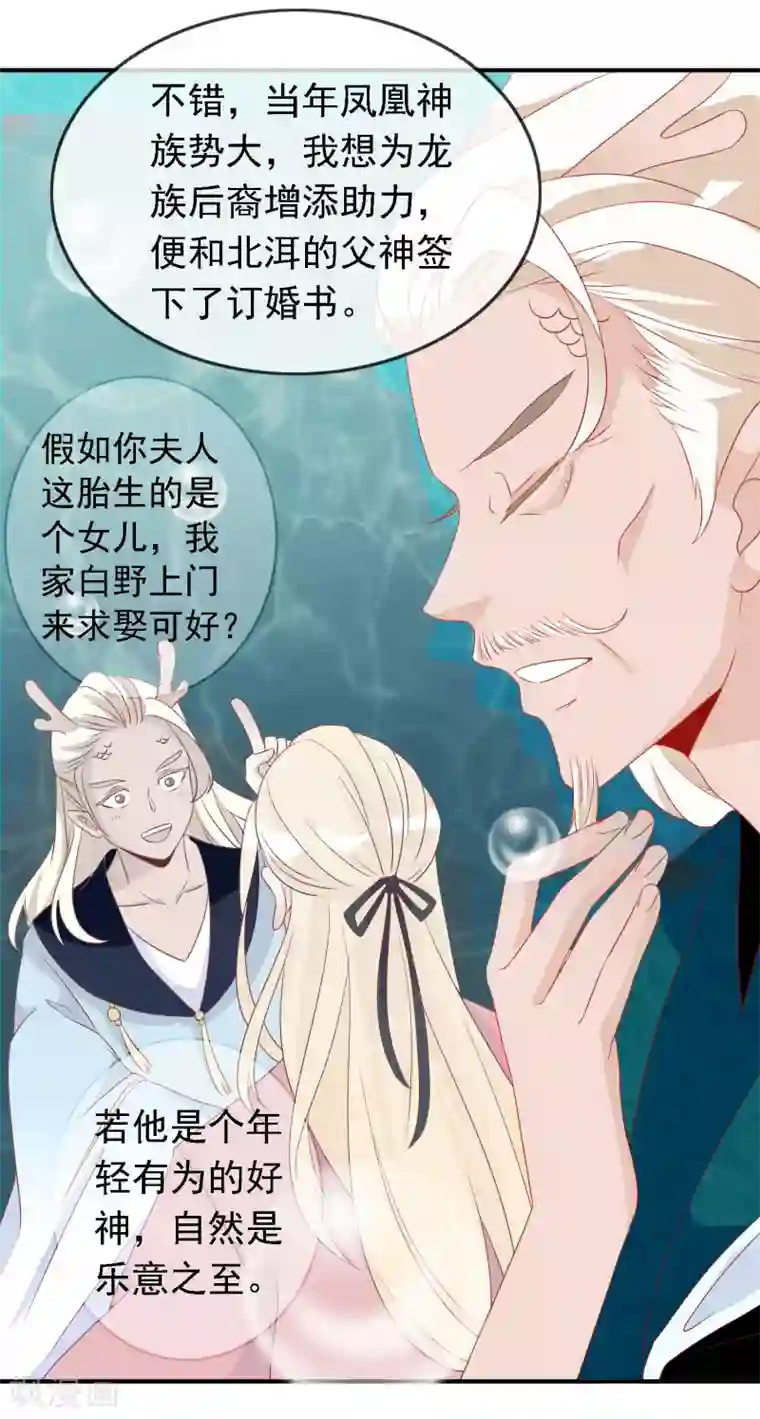 绝色小蛋妃第46话 龙族的指腹为婚